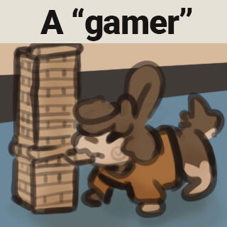 a "gamer"